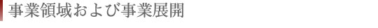 事業領域および事業展開